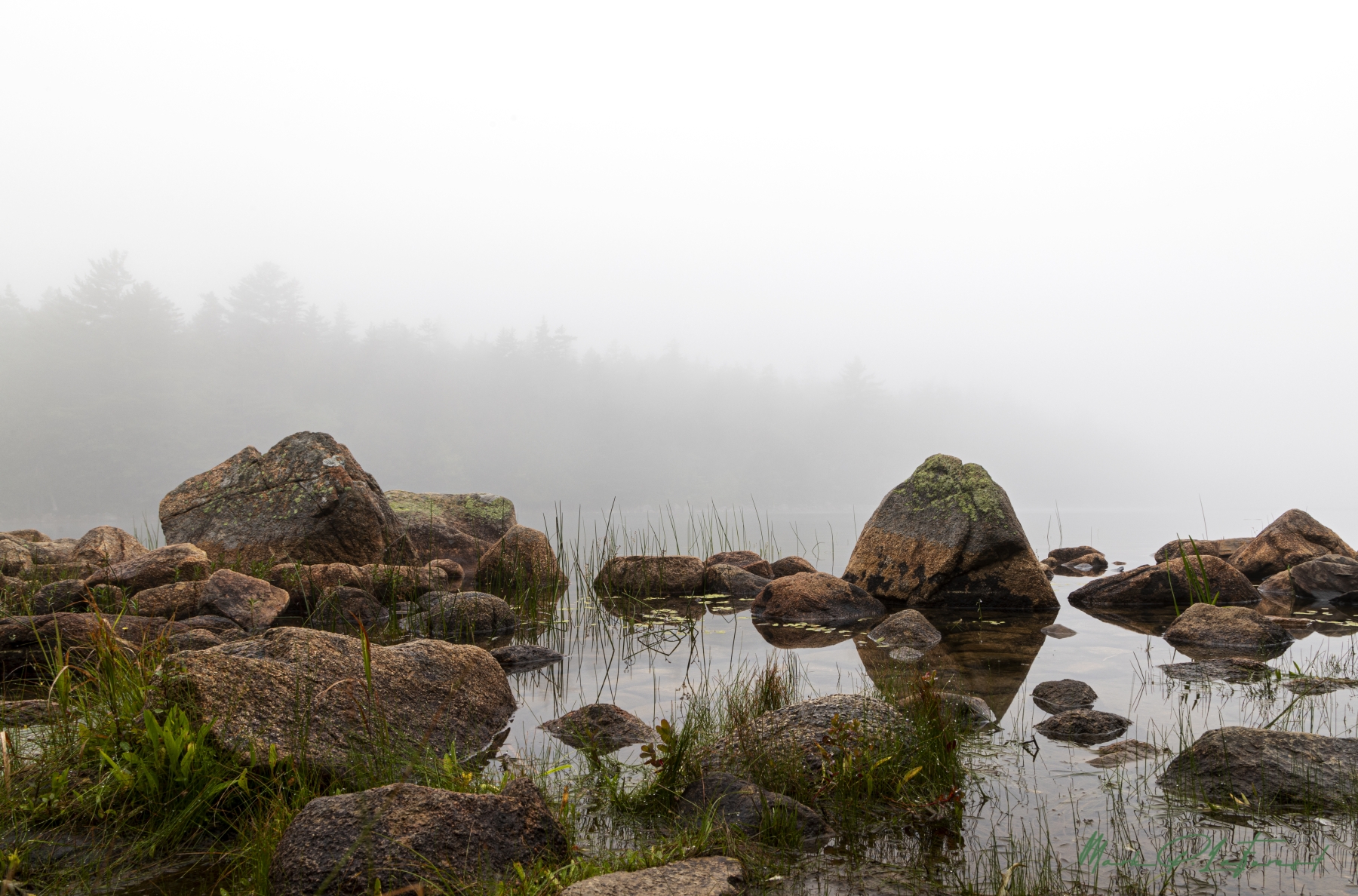 /gallery/north_america/USA/Maine/arcadia np/Jordan Pond Arcadia NP Aug 2021-001_med.jpg